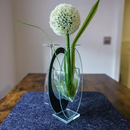 Mosel-apartments-koblenz Koblenz (Rhineland-Palatinate)