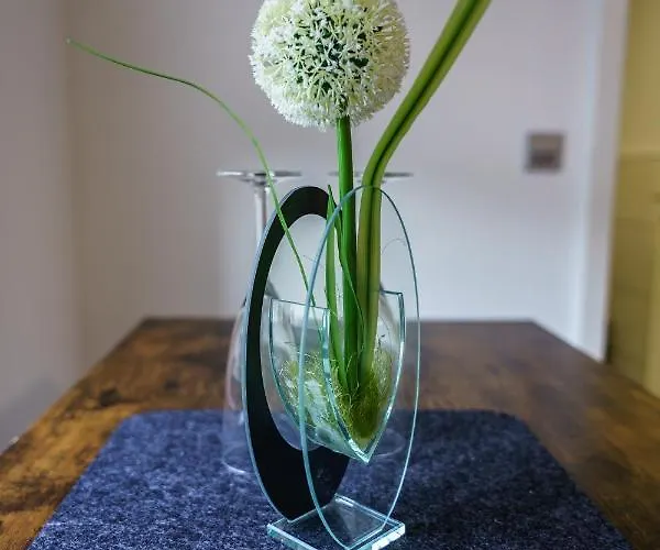 Mosel-apartments-koblenz Coblença